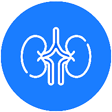 Box 2 Image