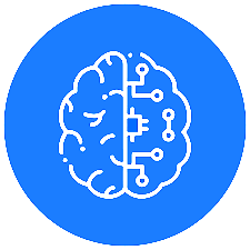 Box 4 Image